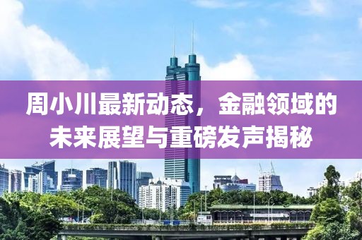 周小川最新动态，金融领域的未来展望与重磅发声揭秘