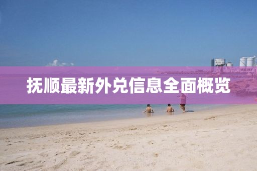抚顺最新外兑信息全面概览