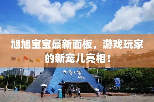 旭旭宝宝最新面板，游戏玩家的新宠儿亮相！