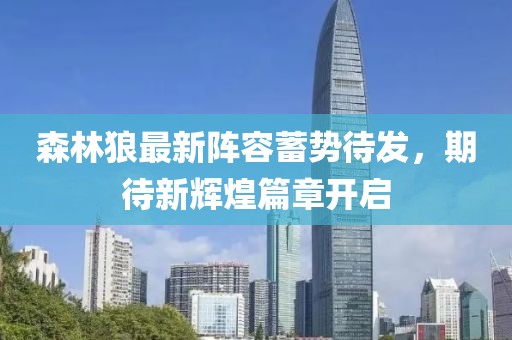 森林狼最新阵容蓄势待发，期待新辉煌篇章开启
