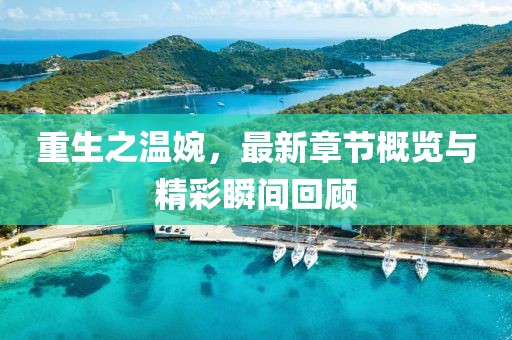 重生之温婉，最新章节概览与精彩瞬间回顾
