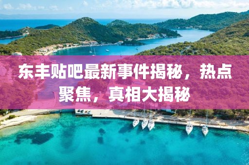 东丰贴吧最新事件揭秘，热点聚焦，真相大揭秘