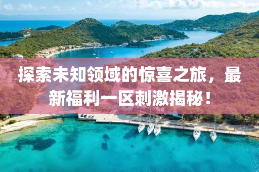 探索未知领域的惊喜之旅，最新福利一区刺激揭秘！