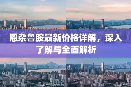 恩杂鲁胺最新价格详解，深入了解与全面解析
