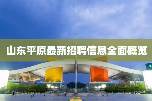 山东平原最新招聘信息全面概览