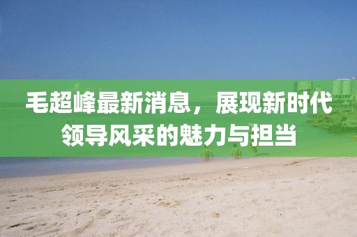 毛超峰最新消息，展现新时代领导风采的魅力与担当