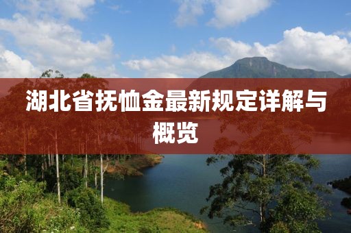 湖北省抚恤金最新规定详解与概览