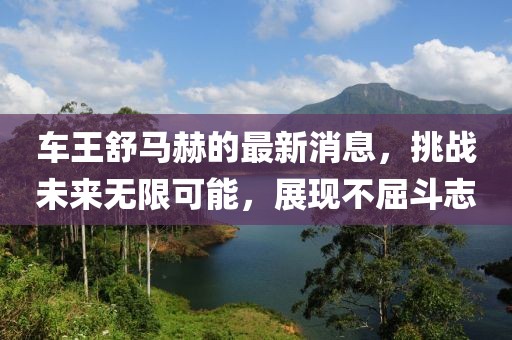 车王舒马赫的最新消息，挑战未来无限可能，展现不屈斗志