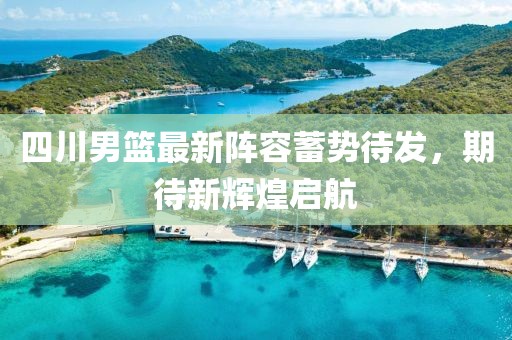 四川男篮最新阵容蓄势待发，期待新辉煌启航