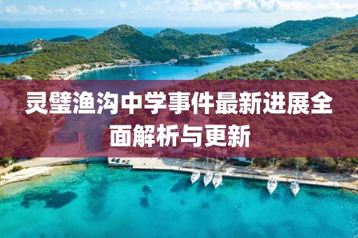 灵璧渔沟中学事件最新进展全面解析与更新