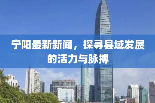 宁阳最新新闻，探寻县域发展的活力与脉搏