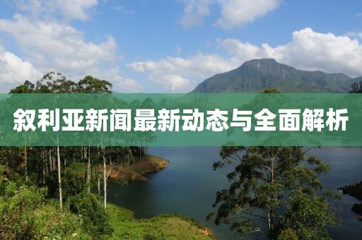 叙利亚新闻最新动态与全面解析