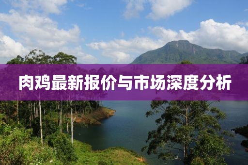 肉鸡最新报价与市场深度分析