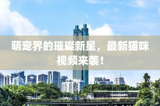 萌宠界的璀璨新星，最新猫咪视频来袭！