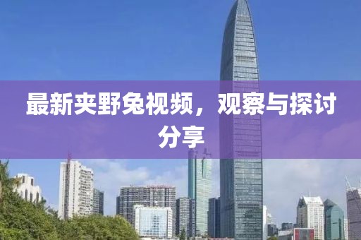 最新夹野兔视频，观察与探讨分享