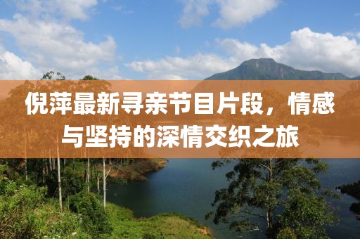 倪萍最新寻亲节目片段，情感与坚持的深情交织之旅
