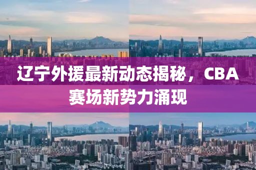 辽宁外援最新动态揭秘，CBA赛场新势力涌现