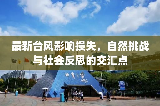 最新台风影响损失，自然挑战与社会反思的交汇点