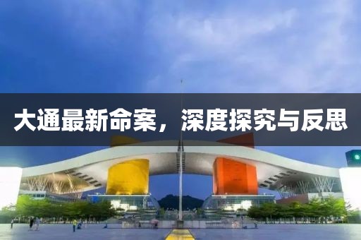 大通最新命案，深度探究与反思