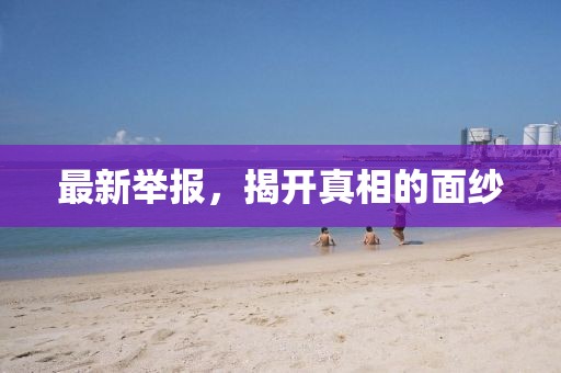 最新举报，揭开真相的面纱