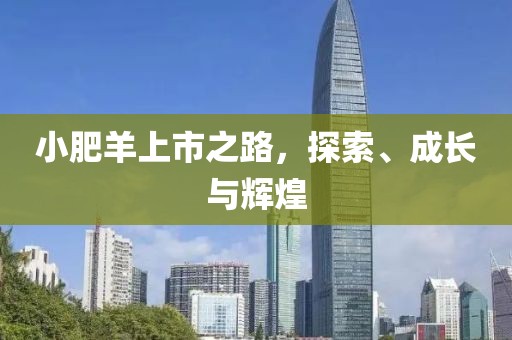 2025年2月 第13页