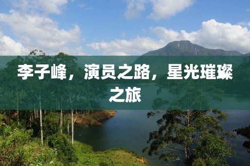 李子峰，演员之路，星光璀璨之旅