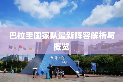 巴拉圭国家队最新阵容解析与概览