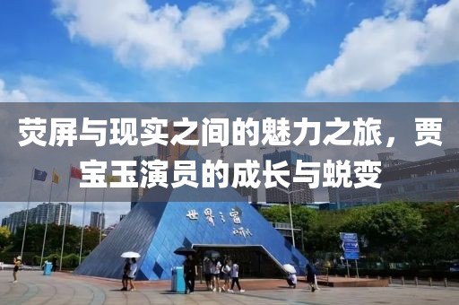 荧屏与现实之间的魅力之旅，贾宝玉演员的成长与蜕变