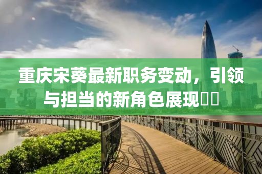 重庆宋葵最新职务变动，引领与担当的新角色展现​​