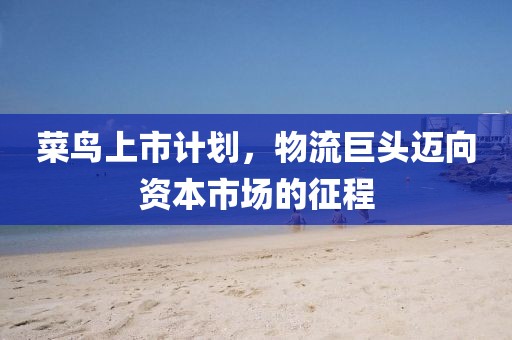菜鸟上市计划，物流巨头迈向资本市场的征程
