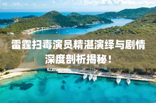 雷霆扫毒演员精湛演绎与剧情深度剖析揭秘！