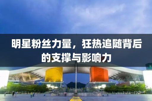 明星粉丝力量，狂热追随背后的支撑与影响力