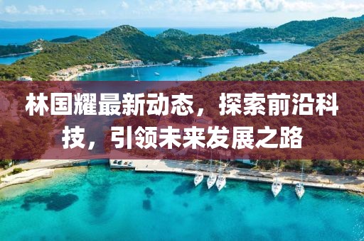 林国耀最新动态，探索前沿科技，引领未来发展之路
