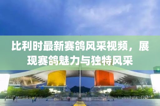 比利时最新赛鸽风采视频，展现赛鸽魅力与独特风采
