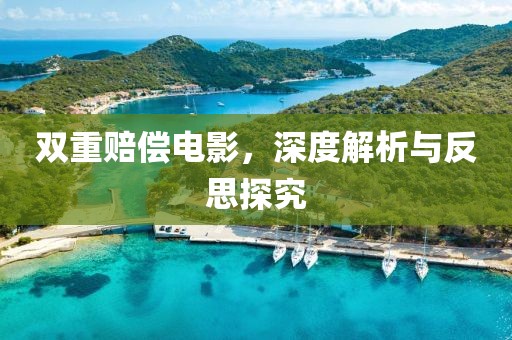 双重赔偿电影，深度解析与反思探究