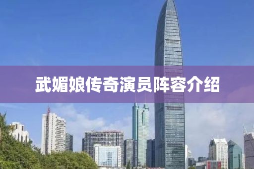 武媚娘传奇演员阵容介绍