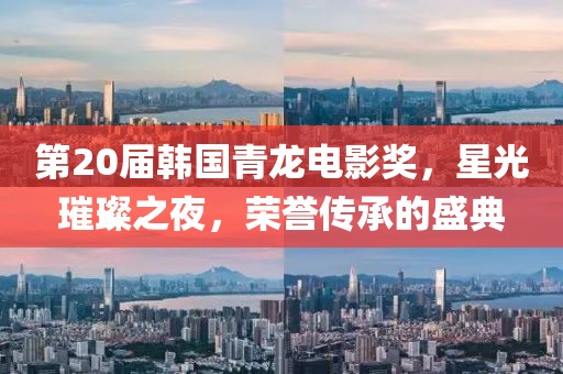 第20届韩国青龙电影奖，星光璀璨之夜，荣誉传承的盛典