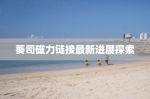 葵司磁力链接最新进展探索