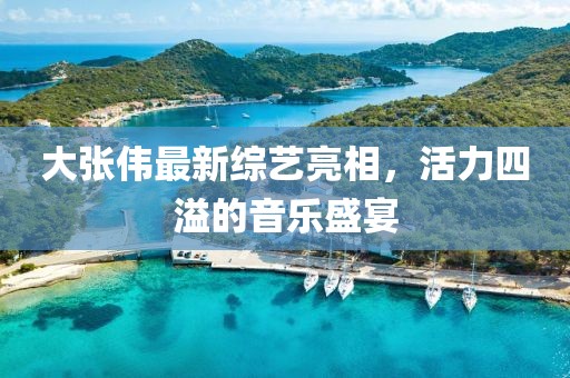 大张伟最新综艺亮相，活力四溢的音乐盛宴