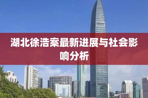 湖北徐浩案最新进展与社会影响分析
