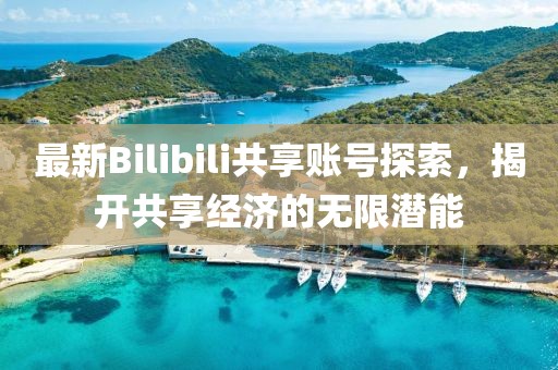 最新Bilibili共享账号探索，揭开共享经济的无限潜能