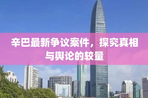辛巴最新争议案件，探究真相与舆论的较量