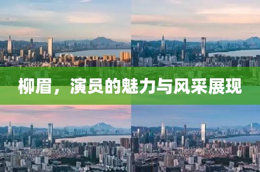 柳眉，演员的魅力与风采展现