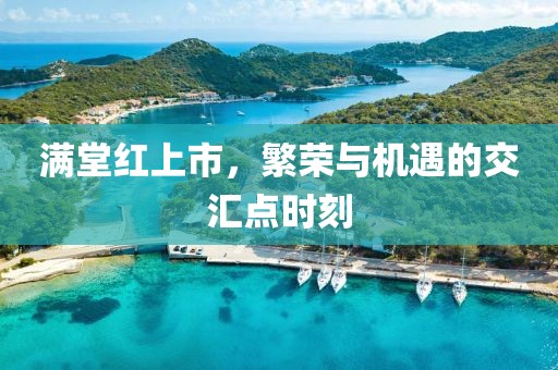 满堂红上市，繁荣与机遇的交汇点时刻