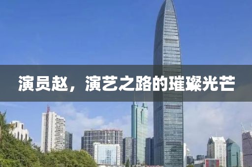 演员赵，演艺之路的璀璨光芒