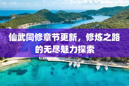 仙武同修章节更新，修炼之路的无尽魅力探索