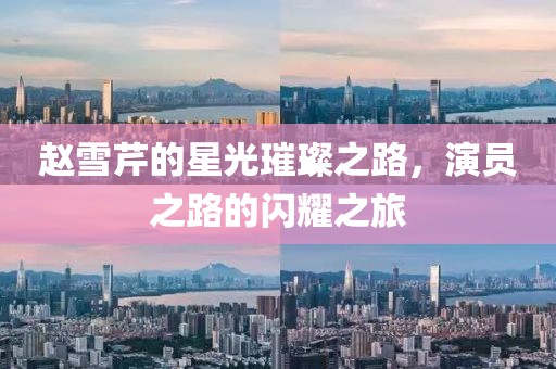 赵雪芹的星光璀璨之路，演员之路的闪耀之旅