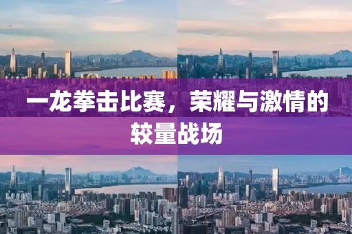 一龙拳击比赛，荣耀与激情的较量战场