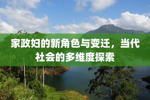 家政妇的新角色与变迁，当代社会的多维度探索