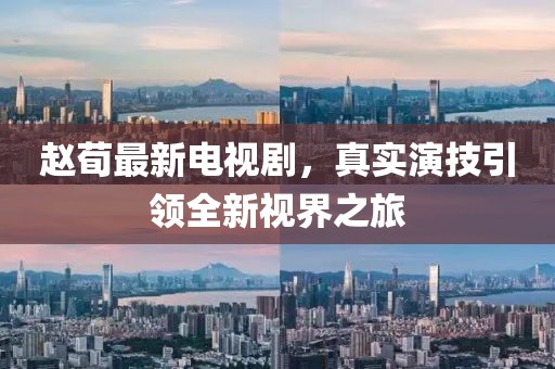 赵荀最新电视剧，真实演技引领全新视界之旅